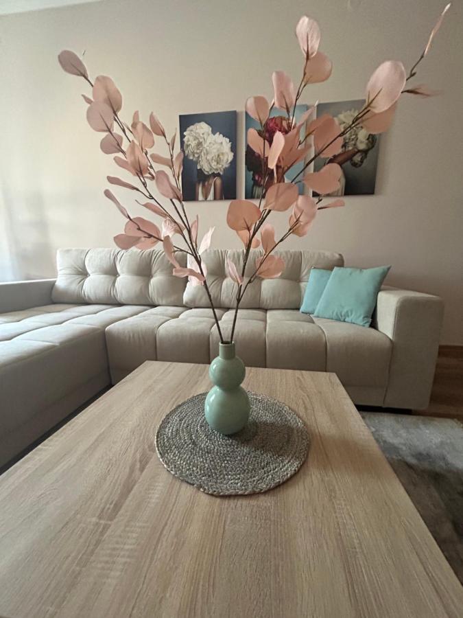 Apartman Teodora スボティツァ エクステリア 写真