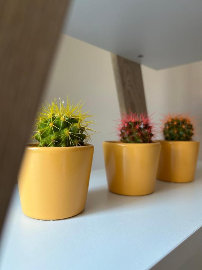 Apartman Teodora スボティツァ エクステリア 写真
