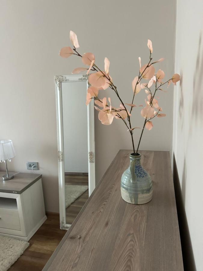 Apartman Teodora スボティツァ エクステリア 写真