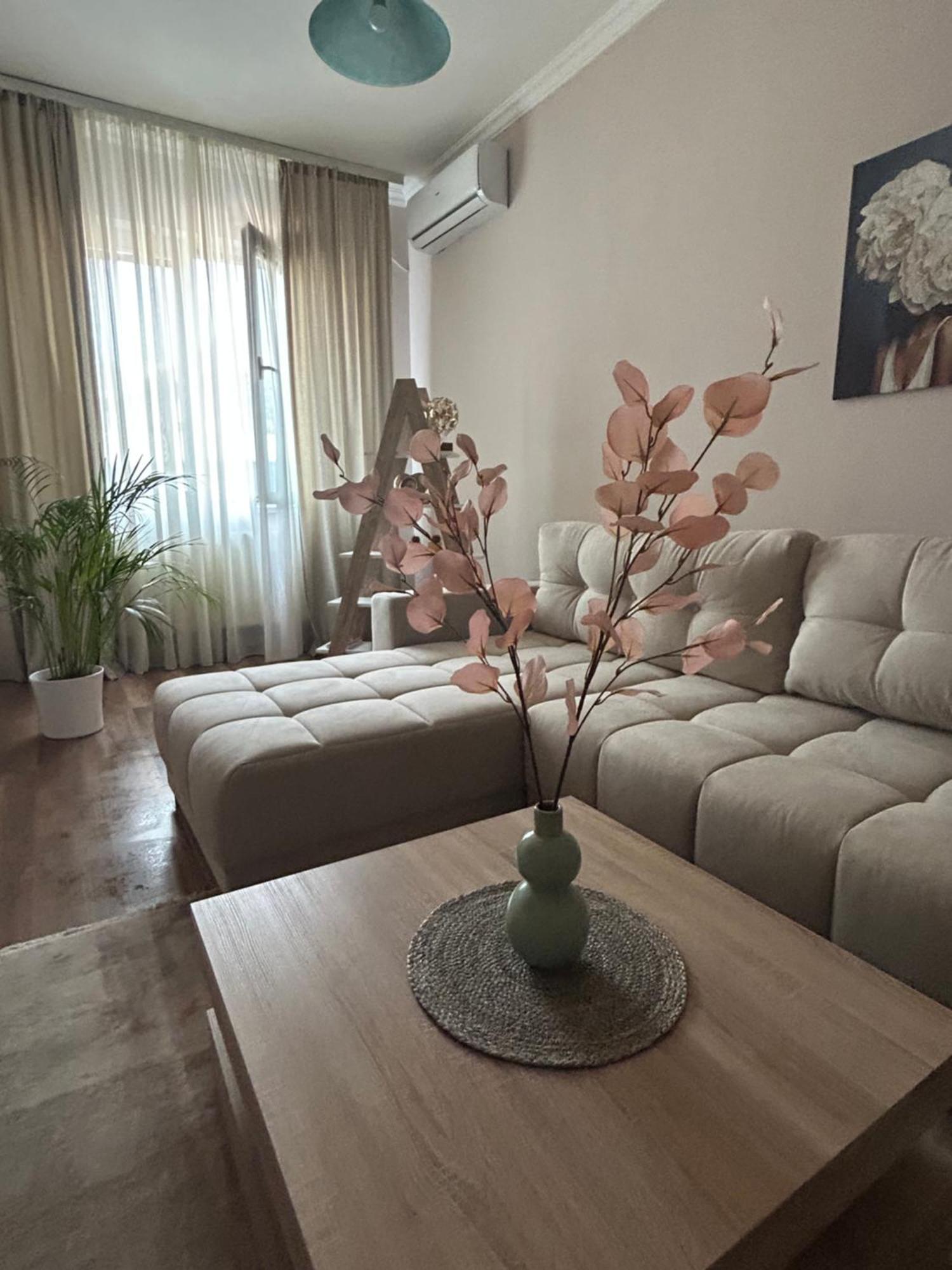 Apartman Teodora スボティツァ エクステリア 写真